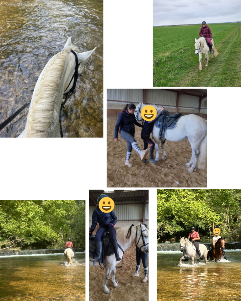 Poney type camarguais ONCP 8 ans 