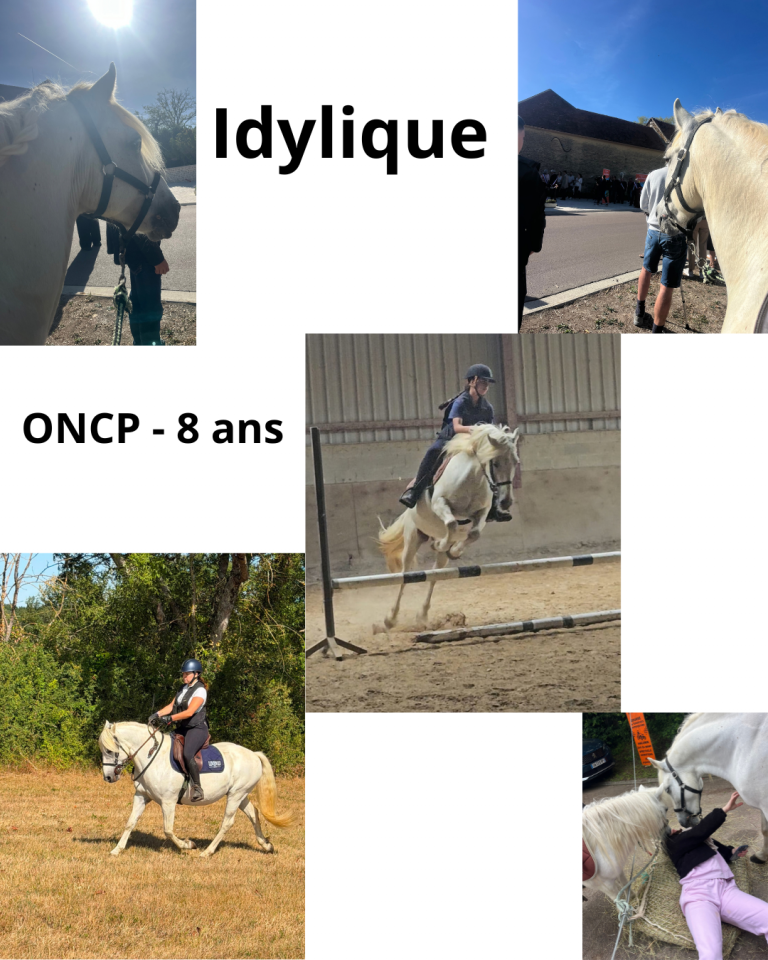 Poney type camarguais ONCP 8 ans 