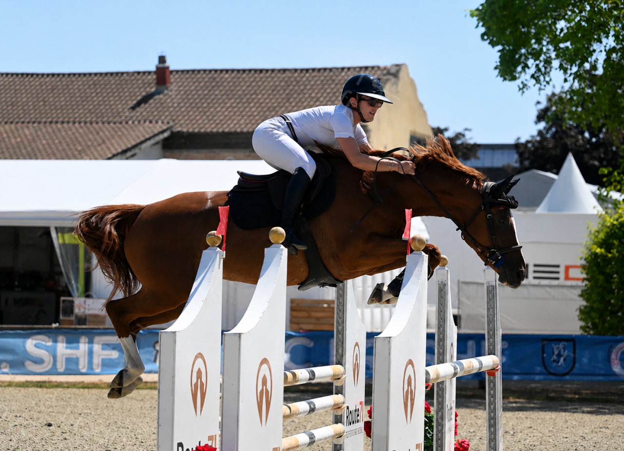 Jument SF de 5 ans sans faute 120-125 moyens 135