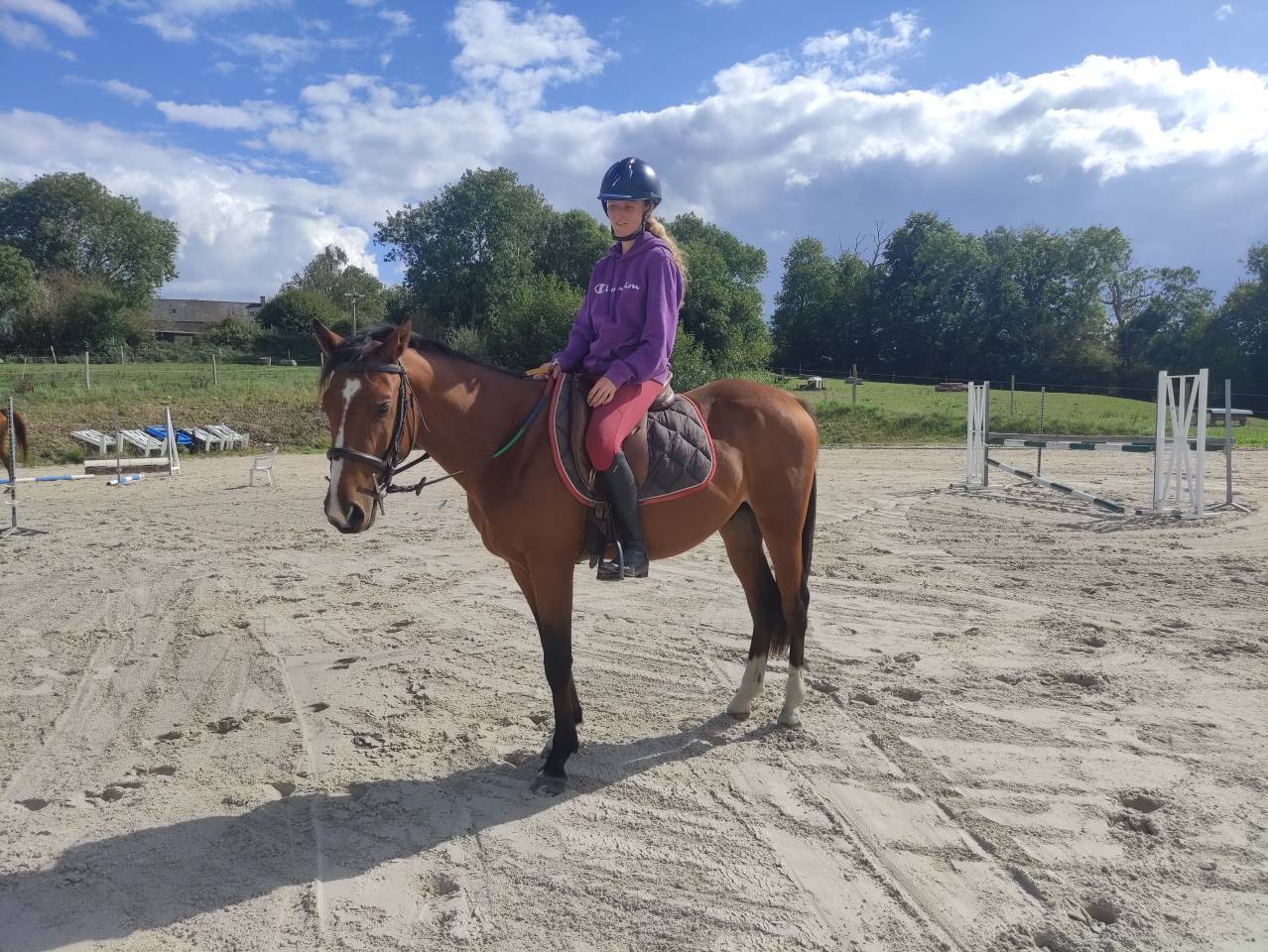 Naguini, jeune cheval prometteur ✨