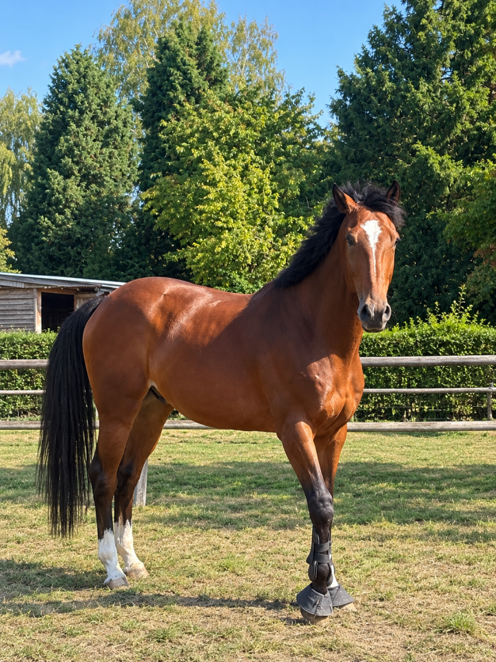 &Agrave; vendre 