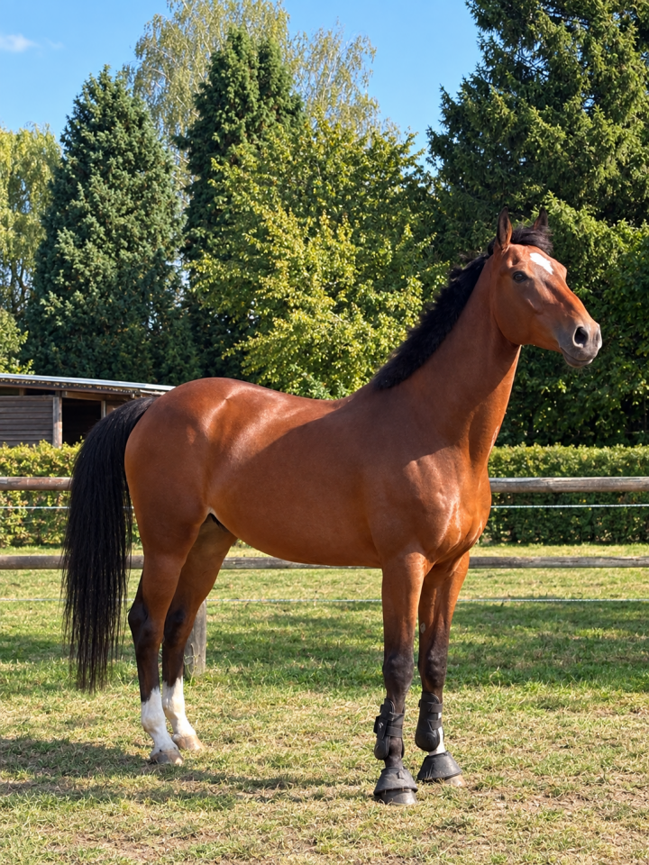&Agrave; vendre 