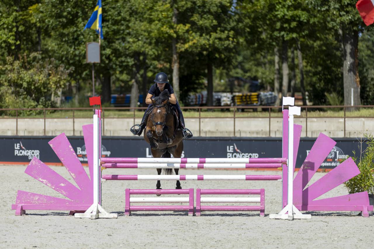 Ponette Connemara 17 ans