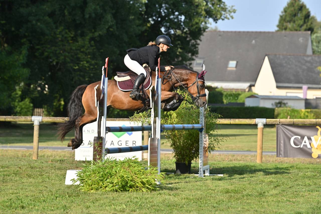 Ponette Connemara 17 ans