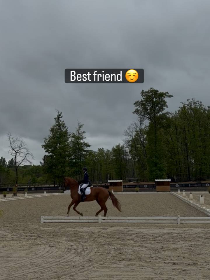 Best friend cheval dressage 