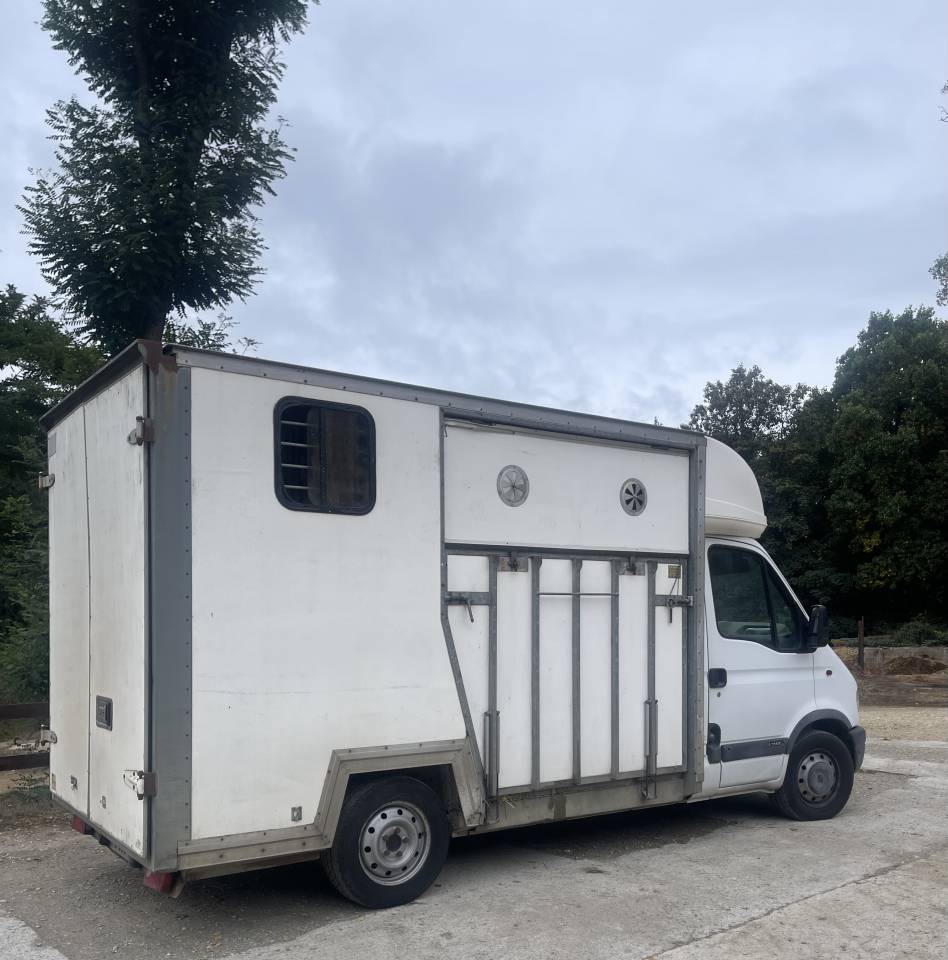 CAMION VL CHEVAUX D'OCCASION