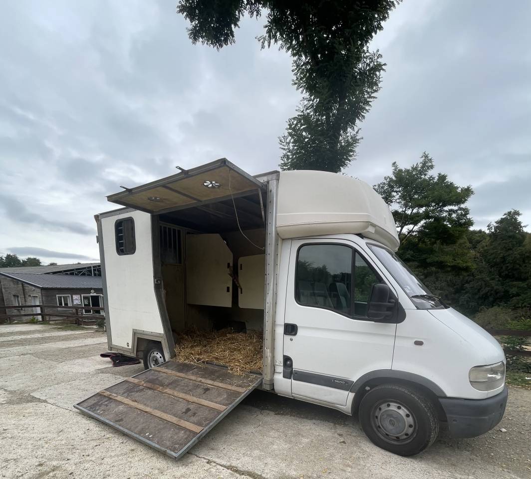 CAMION VL CHEVAUX D'OCCASION