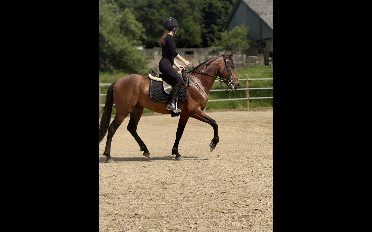 DP Espagnol 6 ans