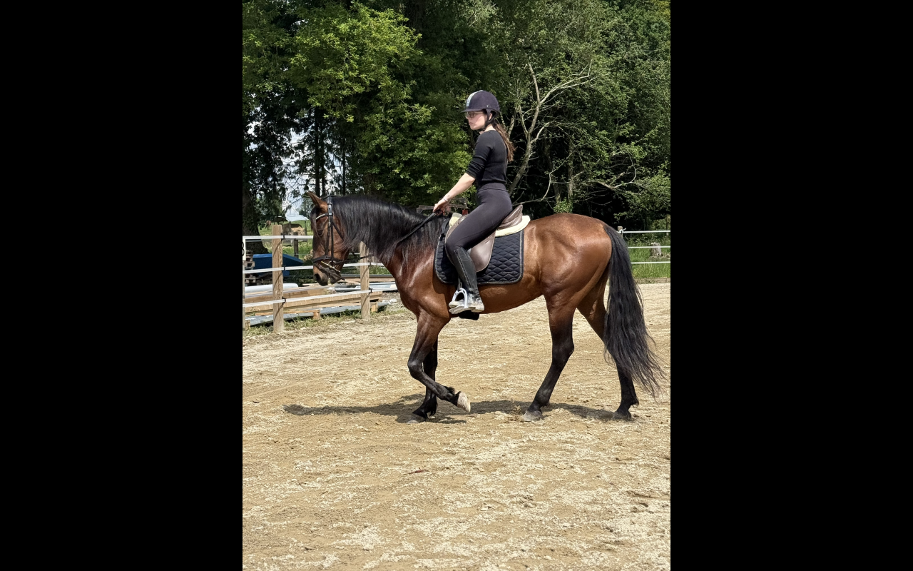 DP Espagnol 6 ans