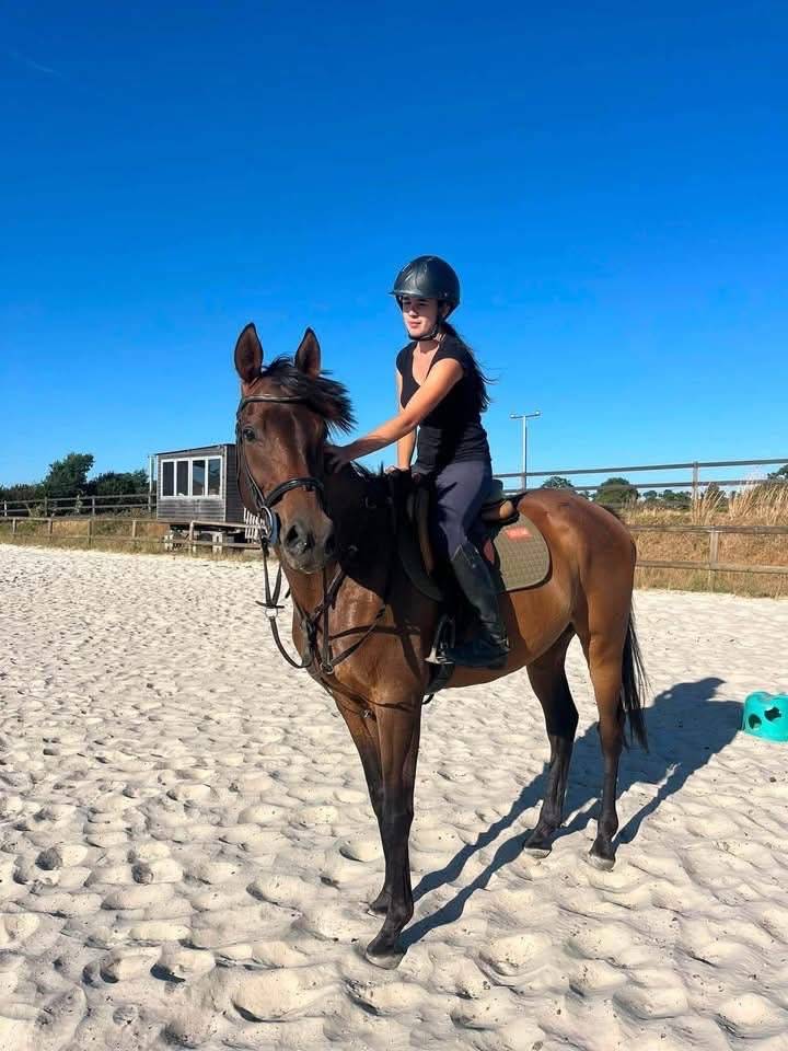 Gentil cheval 