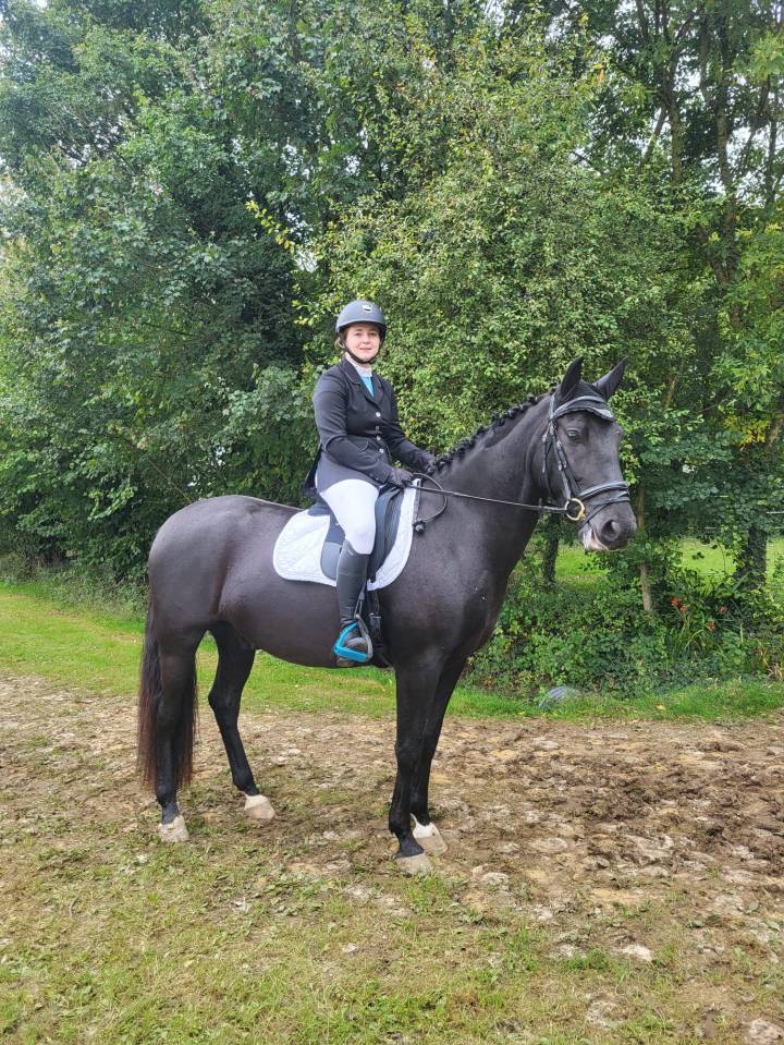 Cheval PRE