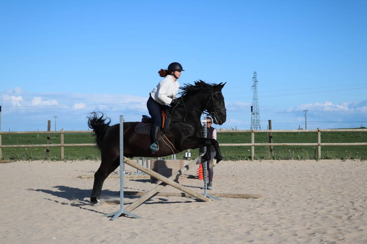 Cheval PRE