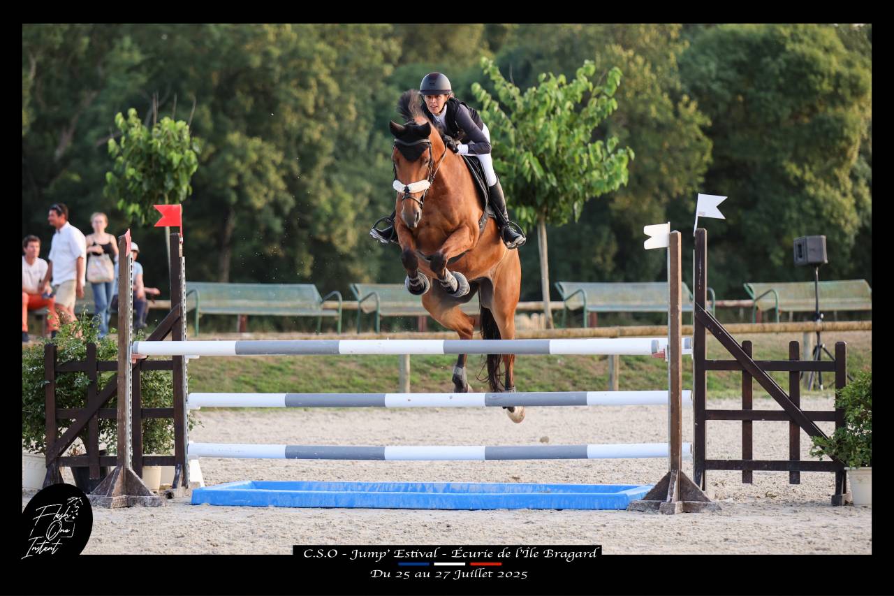Hongre 9ans - Super coup de saut