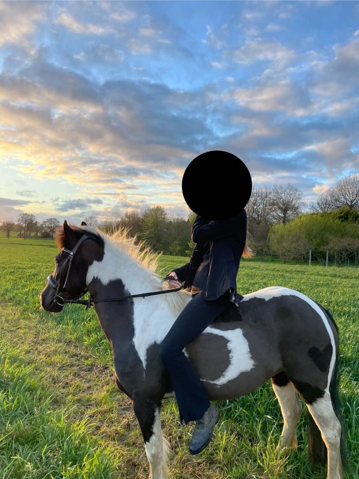 Super ponette 1.33m 