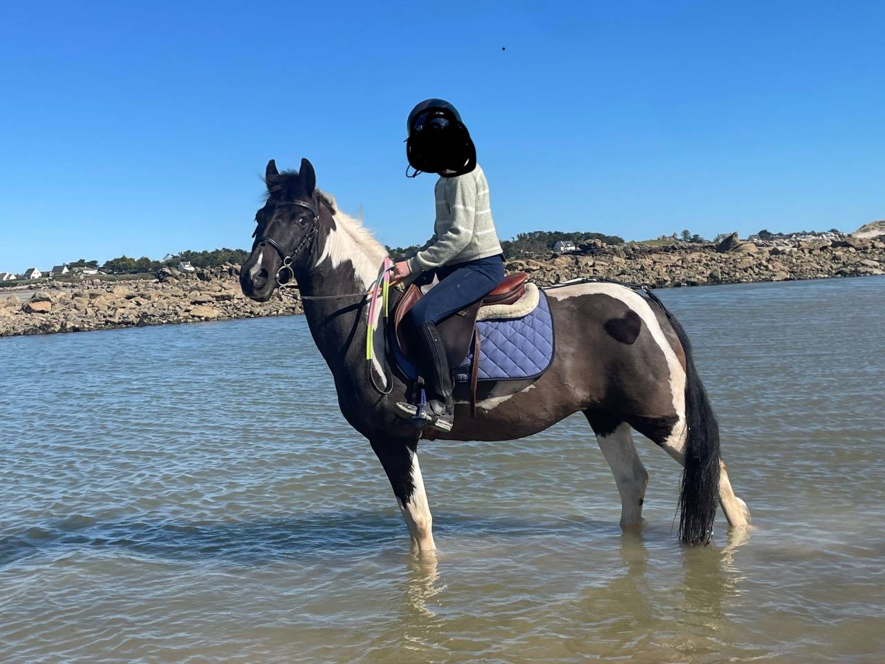 Super ponette 1.33m 