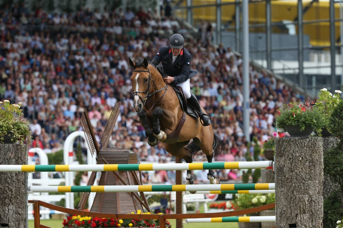 Poulain SF qoud'coeur de la loge x rosire 