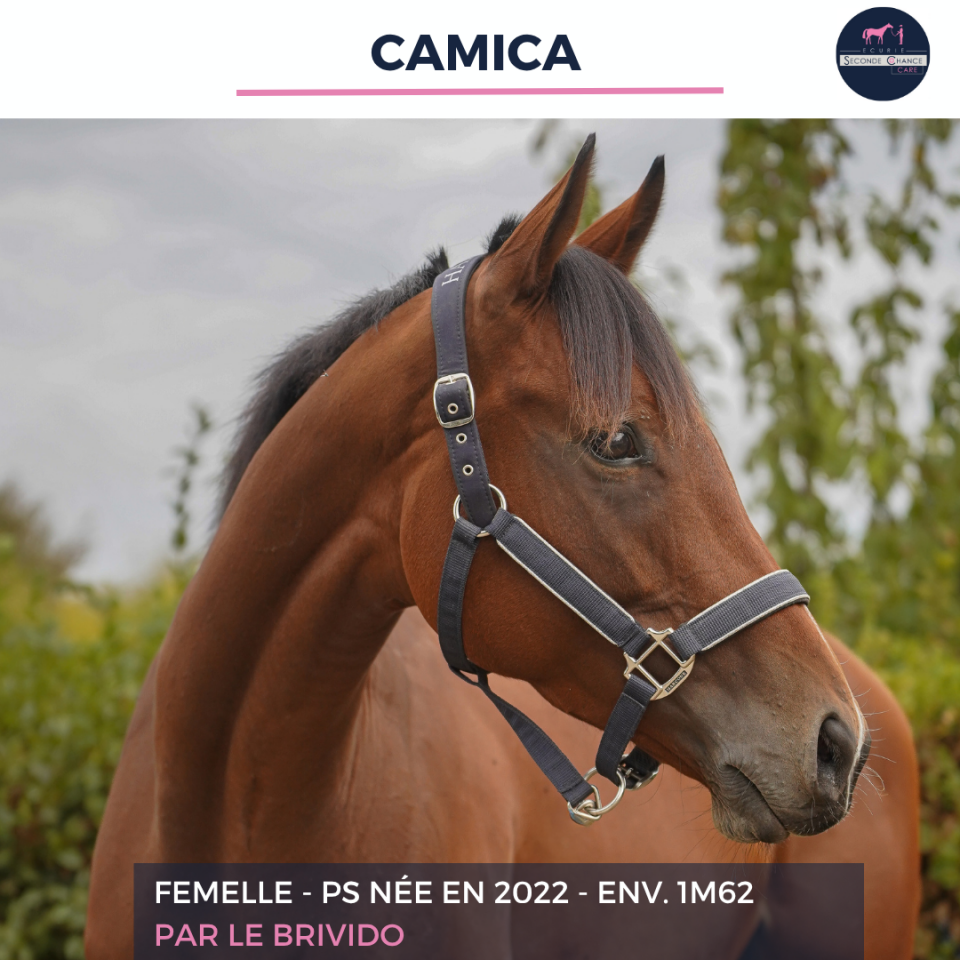 CAMICA - PS - 4 ANS 