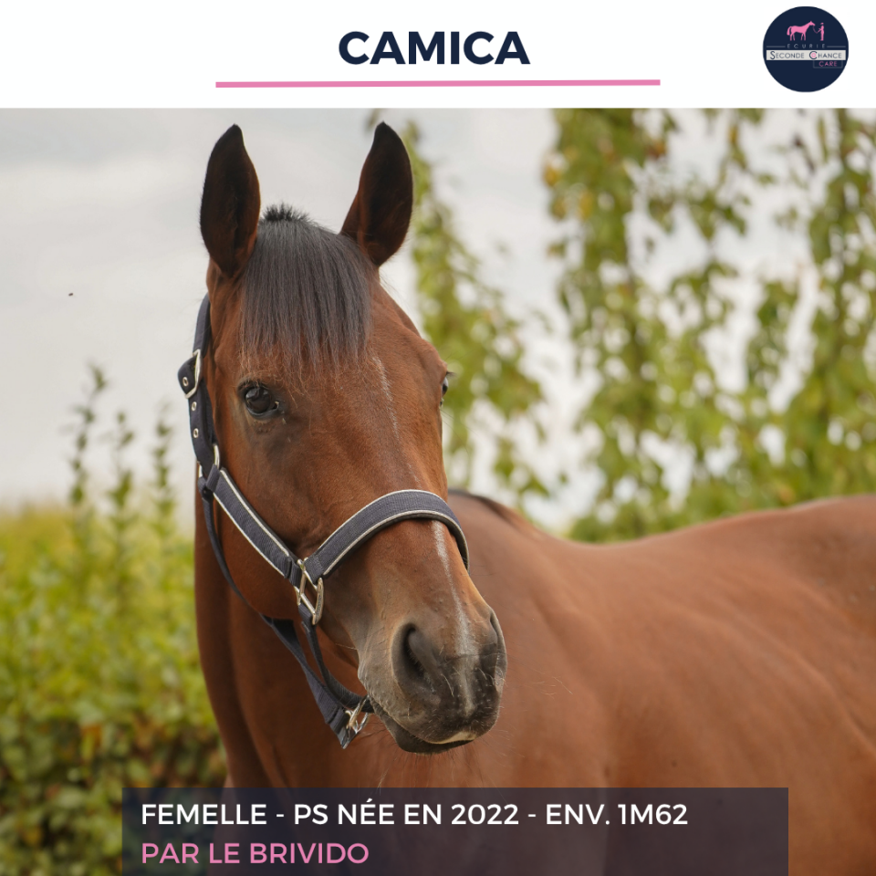 CAMICA - PS - 4 ANS 