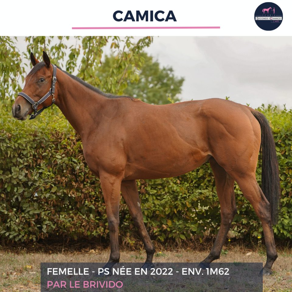 CAMICA - PS - 4 ANS 