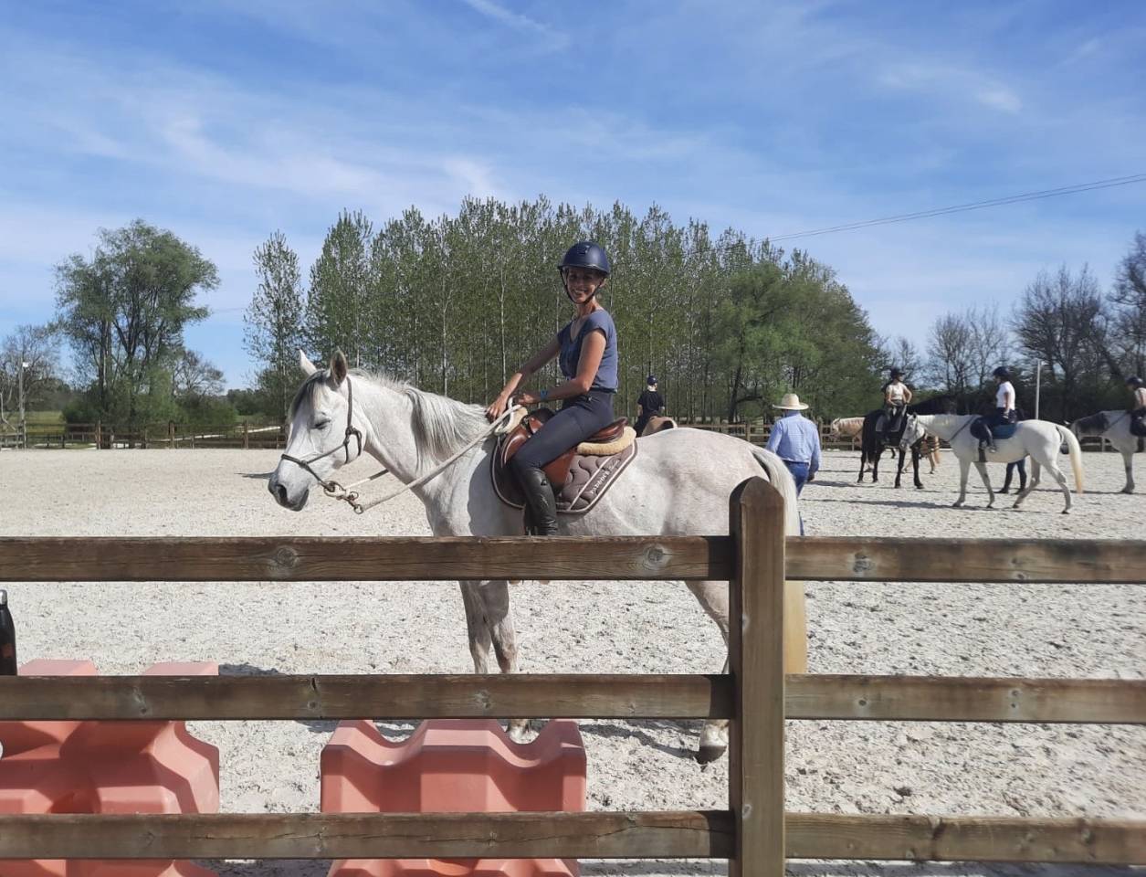 Gentil cheval d&rsquo;ext&eacute;rieur 