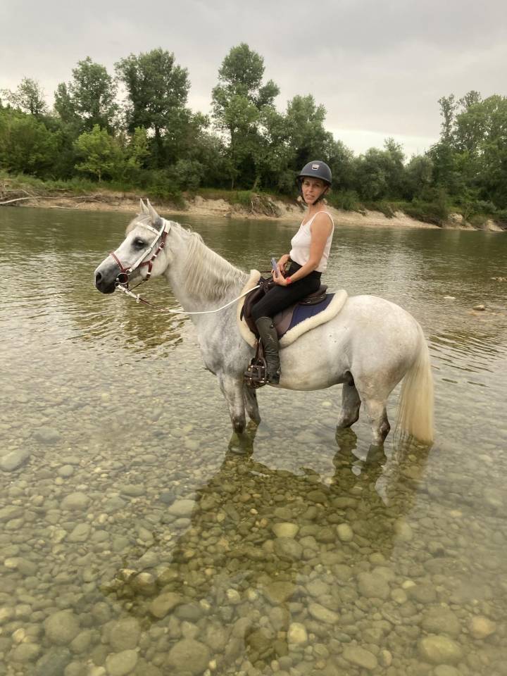 Gentil cheval d&rsquo;ext&eacute;rieur 