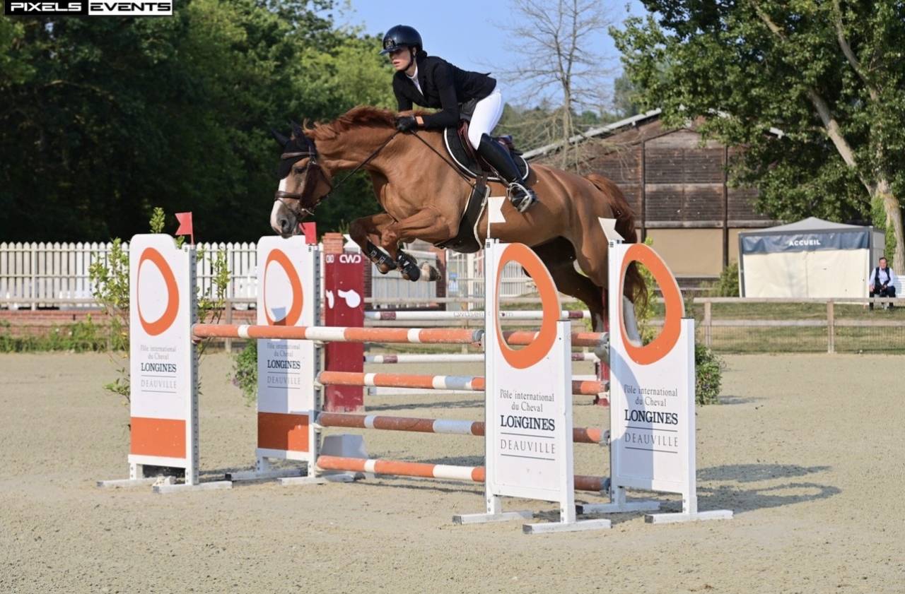 Jument 5 ans , zangersheide