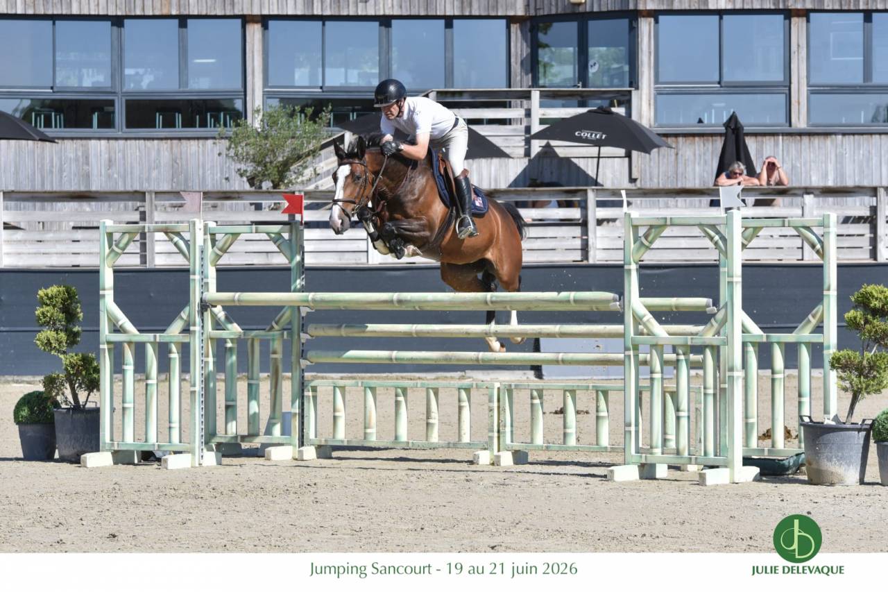 Jument de sport 7ans