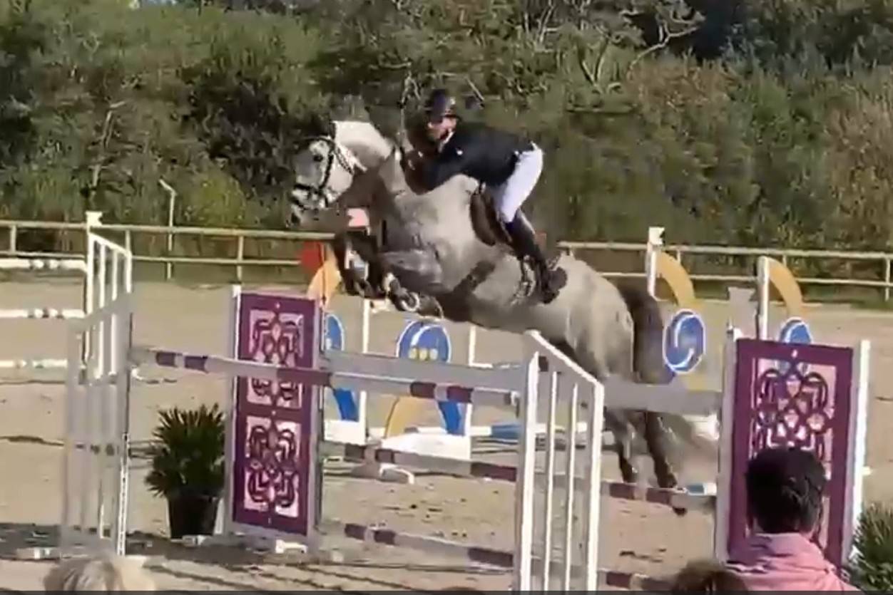 Cheval de CSO-12 ans- Facile, g&eacute;n&eacute;reux avec gros moyens
