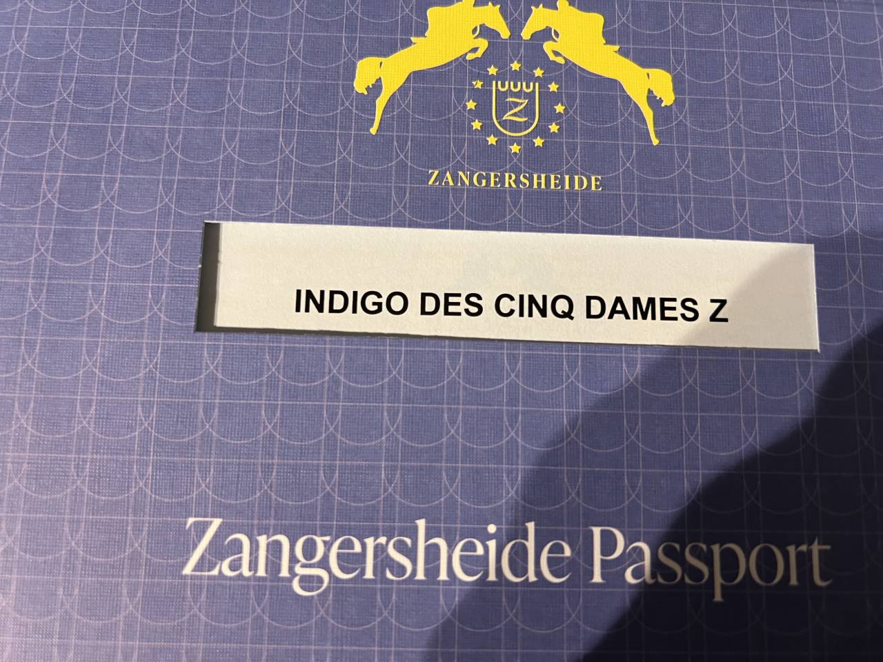 Indigo des cinq dames 