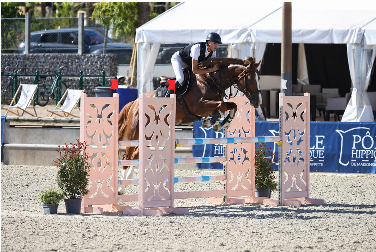 Selle Fran&ccedil;ais &ndash; 10 ans &ndash; Cheval de sport CSO
