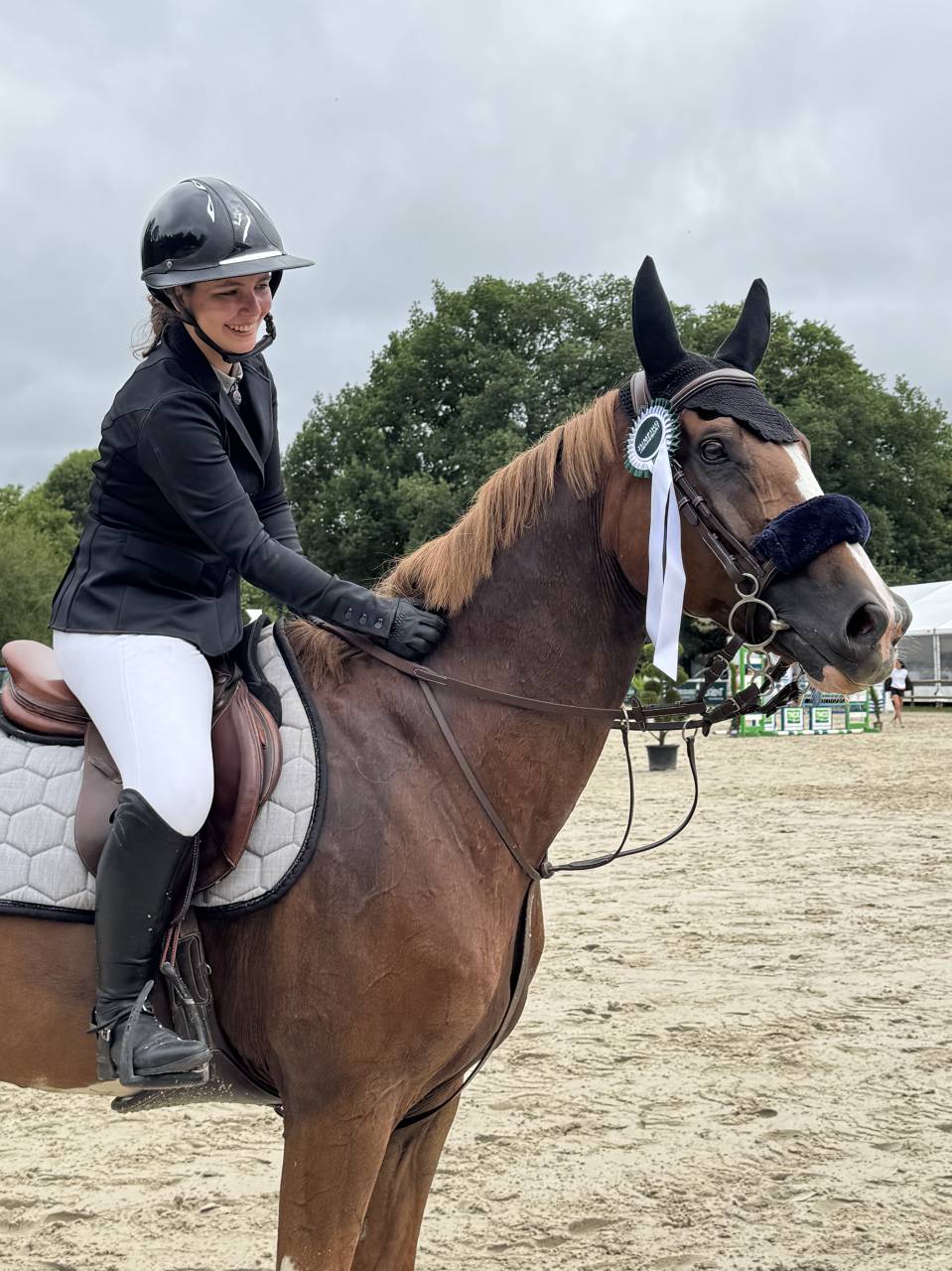 ✨ COME ON AVEL MOR ✨ Selle Fran&ccedil;ais &ndash; 14 ans &ndash; par Kann