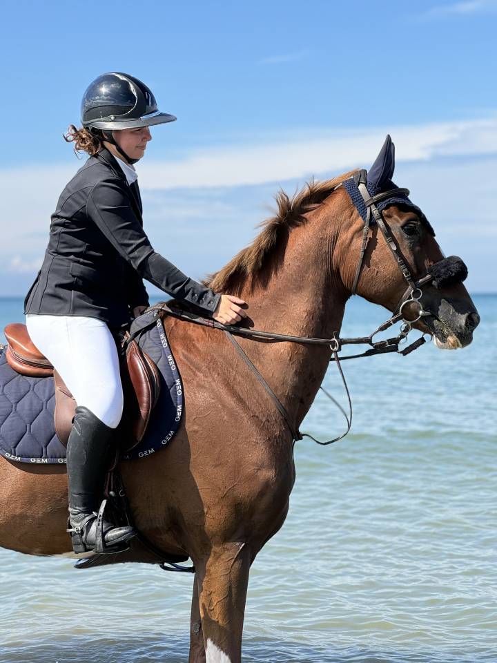 ✨ COME ON AVEL MOR ✨ Selle Fran&ccedil;ais &ndash; 14 ans &ndash; par Kann