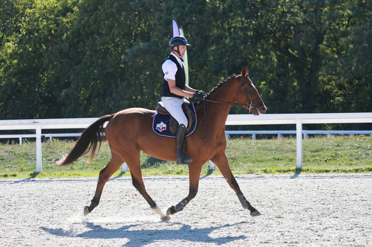 Jeune cheval 3 ans CSO - CCE