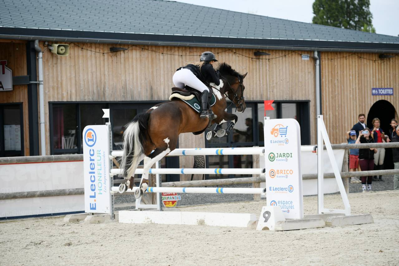 Hongre potentiel 135