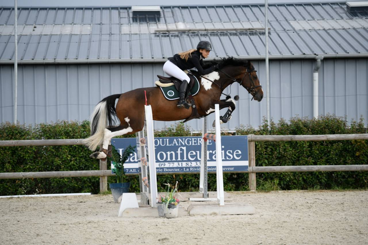 Hongre potentiel 135