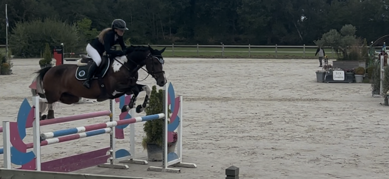 Hongre potentiel 135