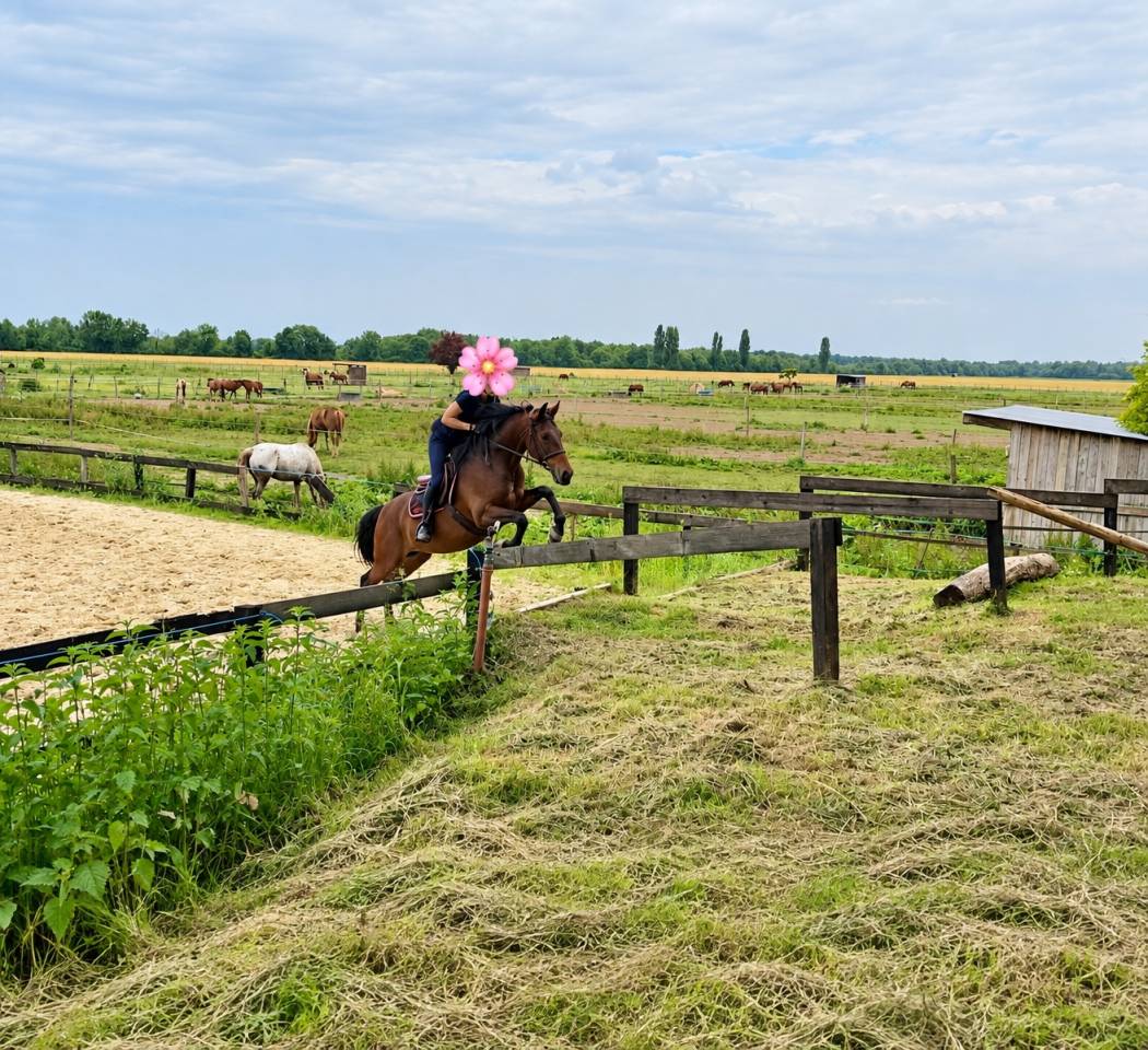 Super cheval polyvalent PP &mdash; 9 ans 