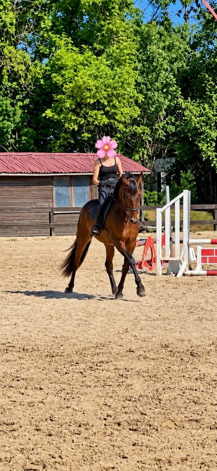 Super cheval polyvalent PP &mdash; 9 ans 