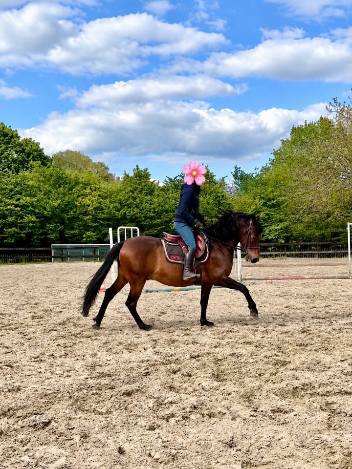 Super cheval polyvalent PP &mdash; 9 ans 