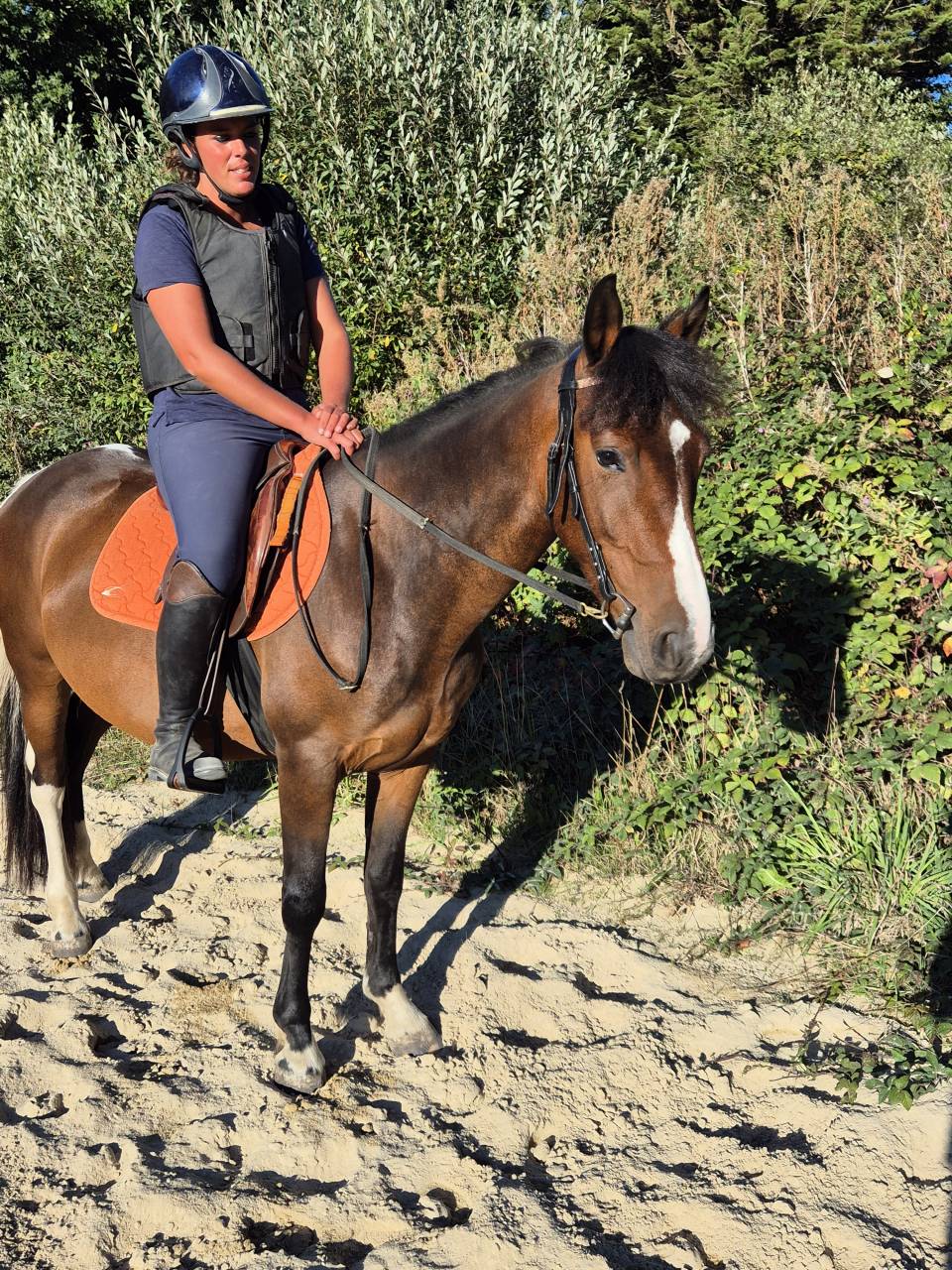 Poney 4 ans pour loisir mod&eacute;r&eacute;
