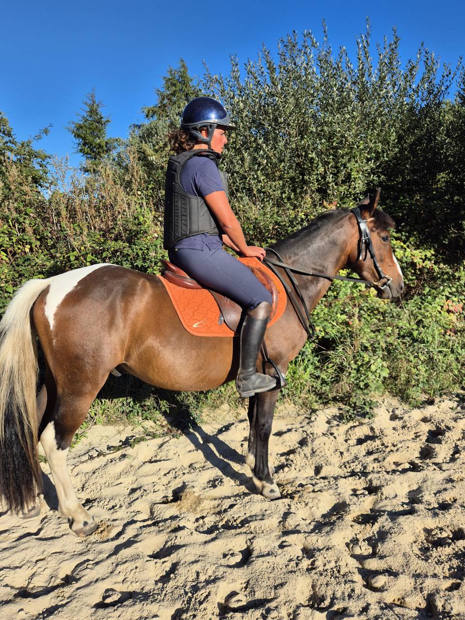 Poney 4 ans pour loisir mod&eacute;r&eacute;