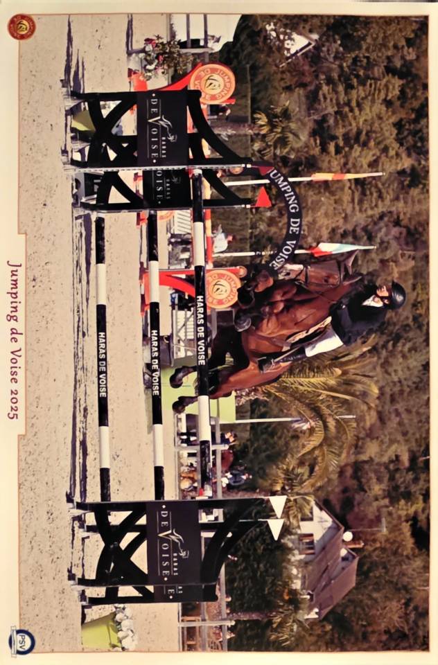Cheval CSO 