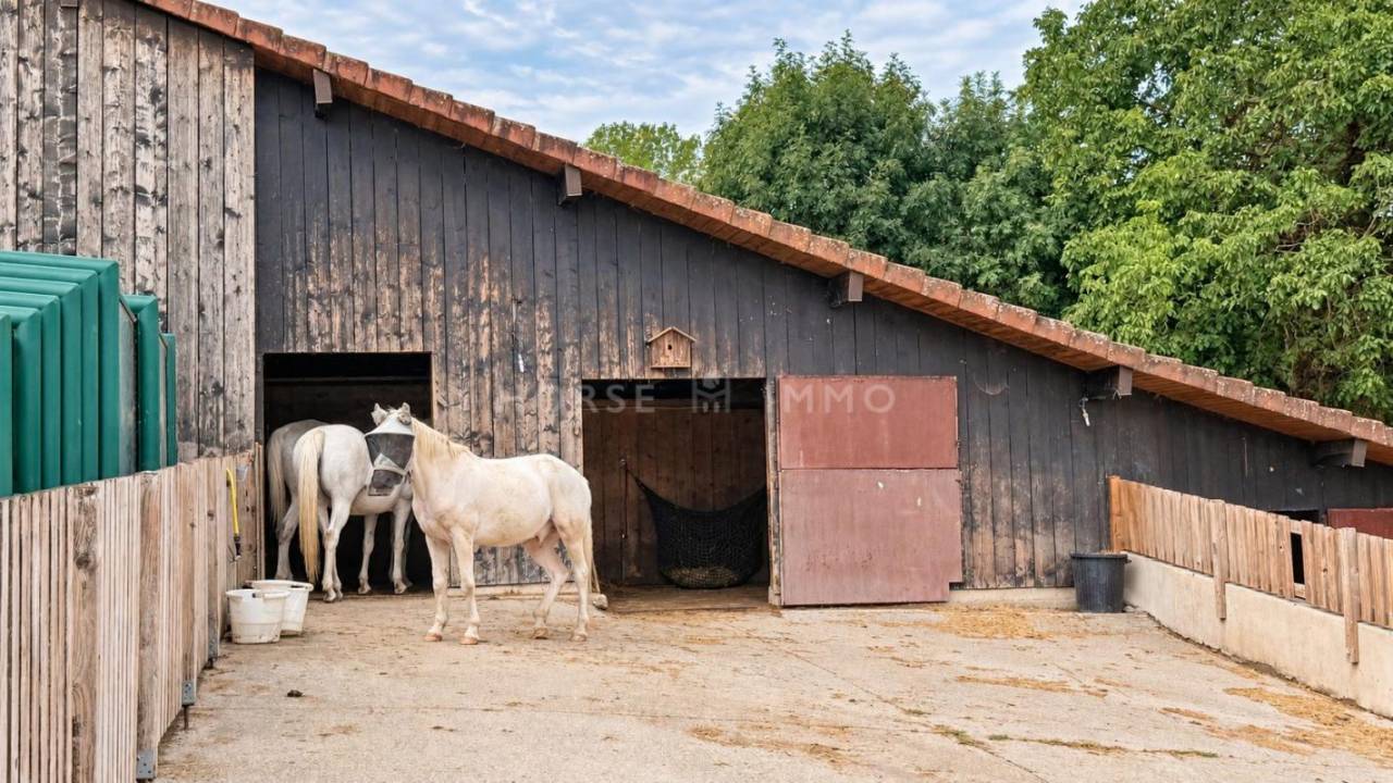 PROPRI&Eacute;T&Eacute; &Eacute;QUESTRE DE CARACT&Egrave;RE, TROIS LOGEMENTS ET CADRE VE
