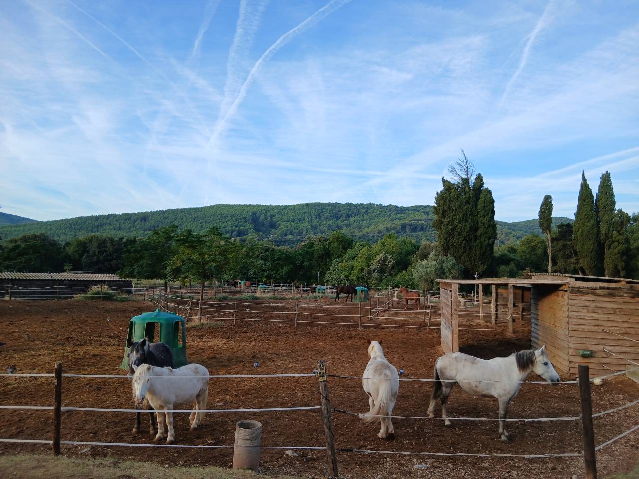 Enseignant animateur 