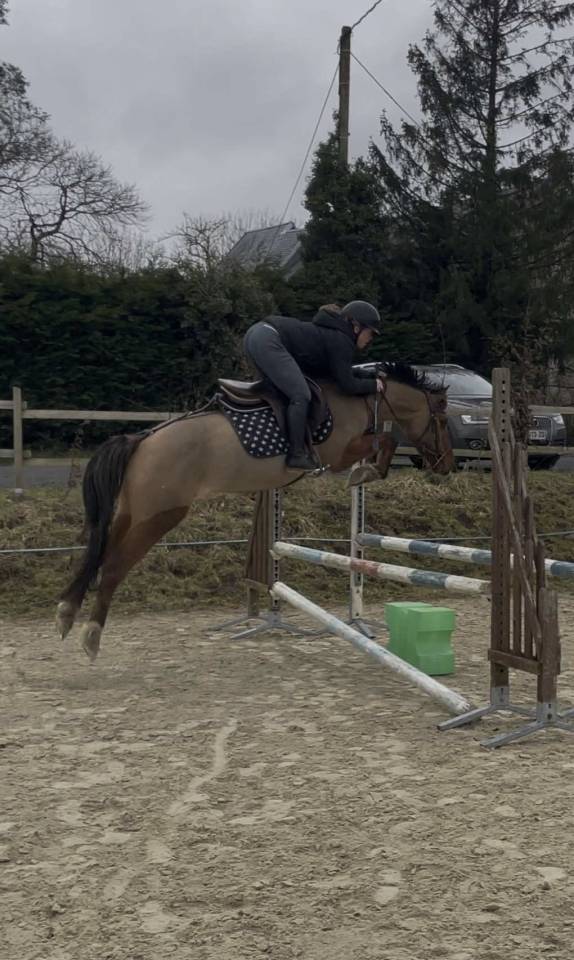 Top ponette de 1an