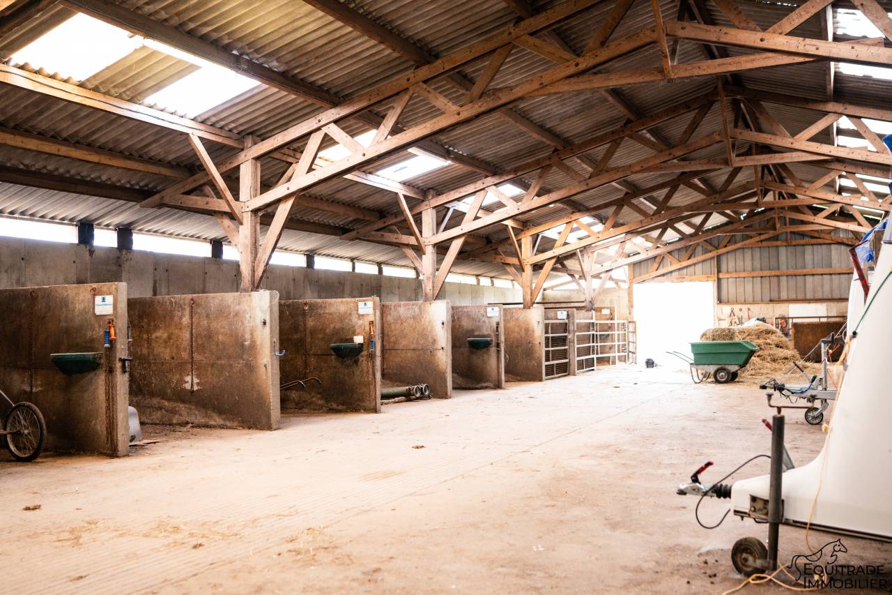 prorpi&eacute;t&eacute; equestre de 20 ha avec piste