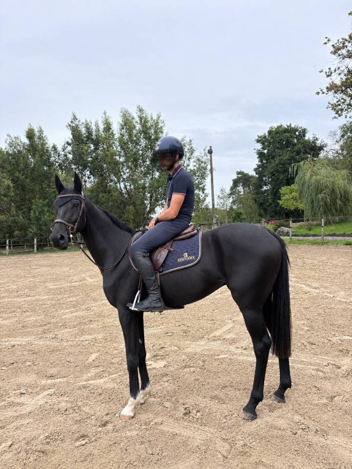 Je&ucirc;ne cheval 