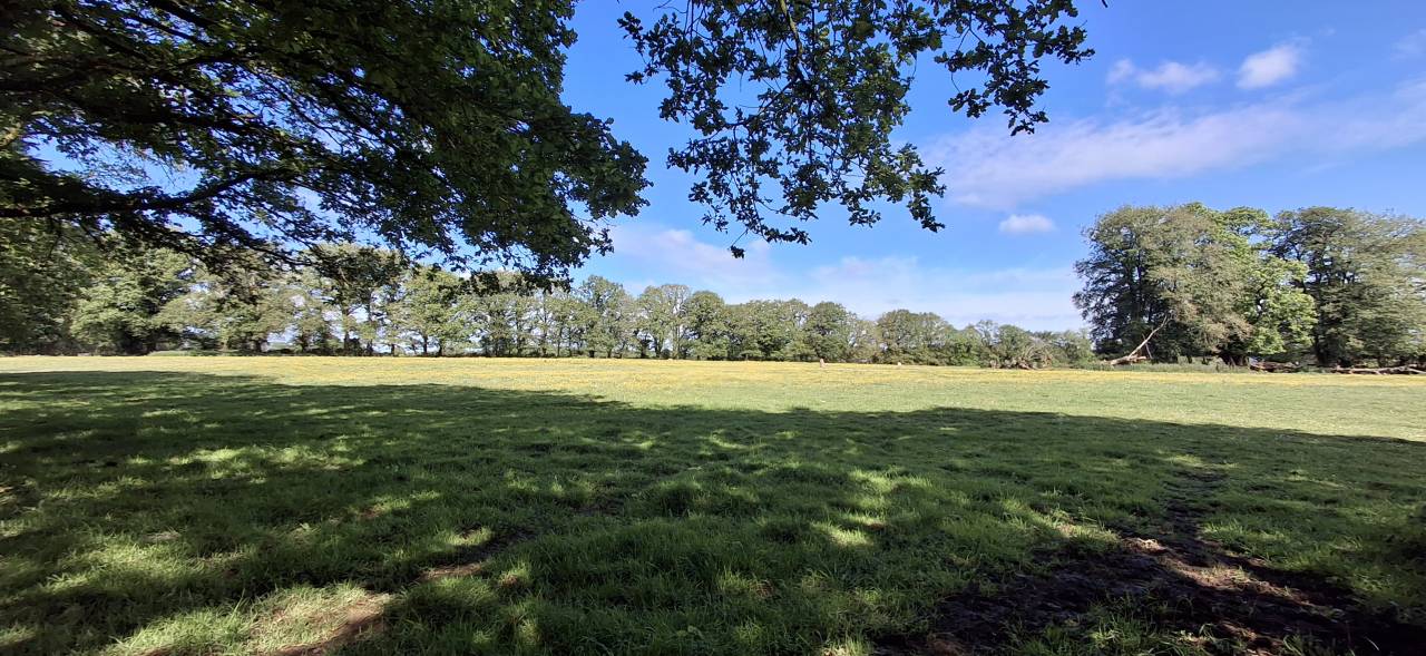 Jolie Ferme Equestre dans le Morbihan