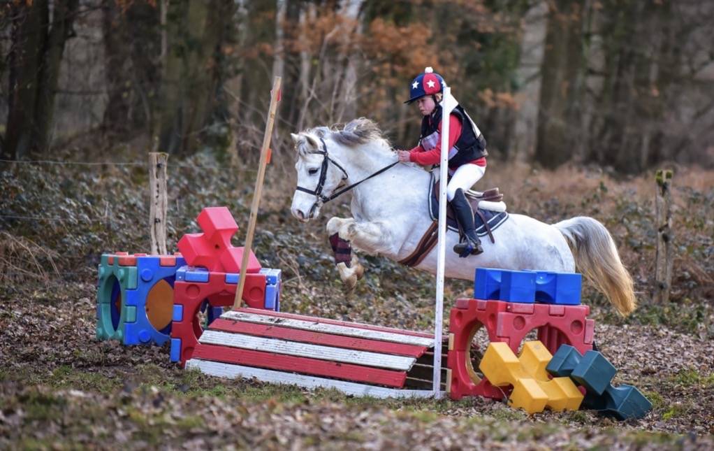 Ponette welsh Bmax 11 ans 