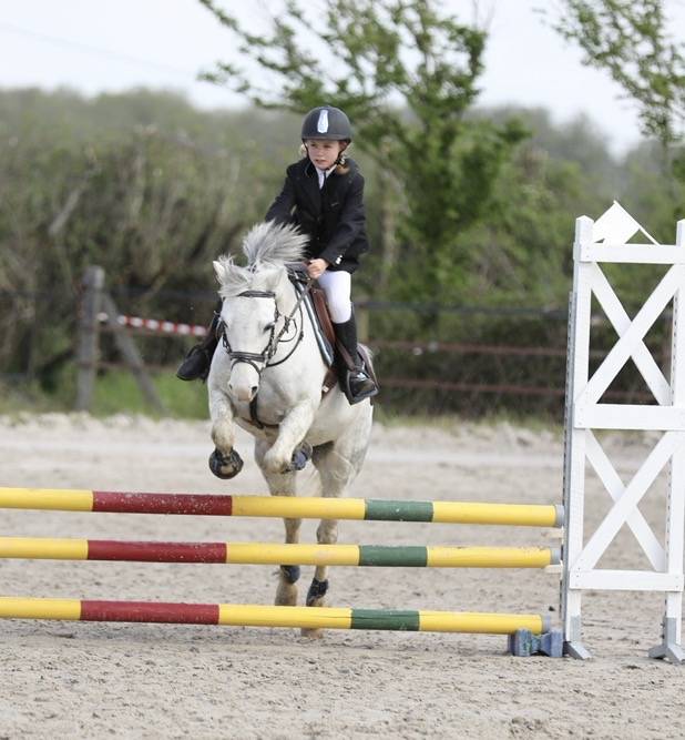 Ponette welsh Bmax 11 ans 